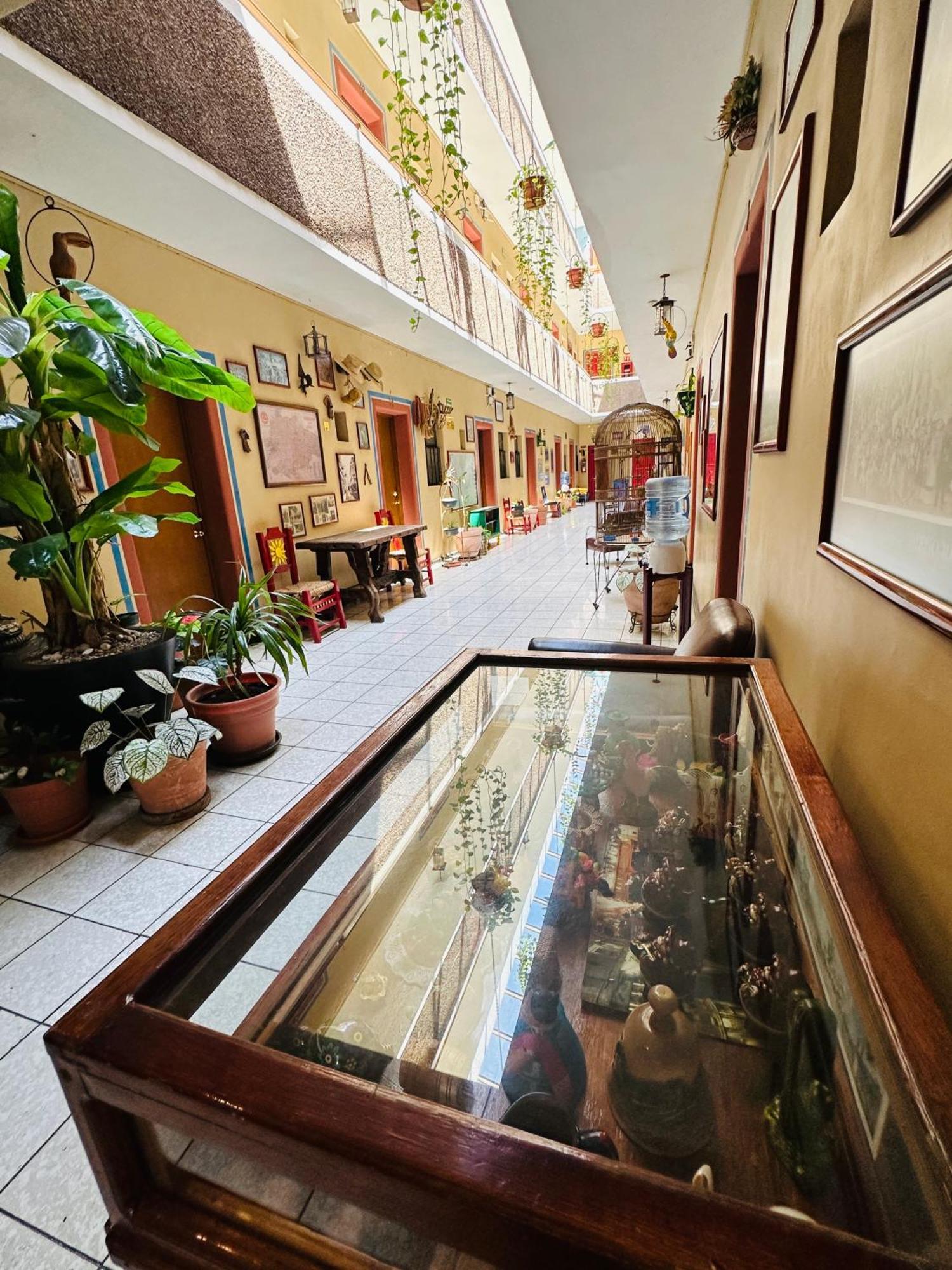 Hotel Janeiro Guadalajara Ngoại thất bức ảnh